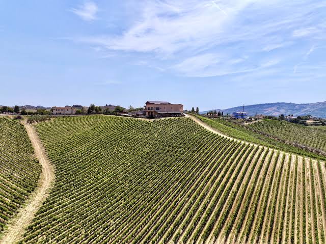 Il Conte Villa Prandone
