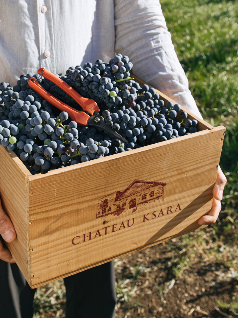 Château Ksara