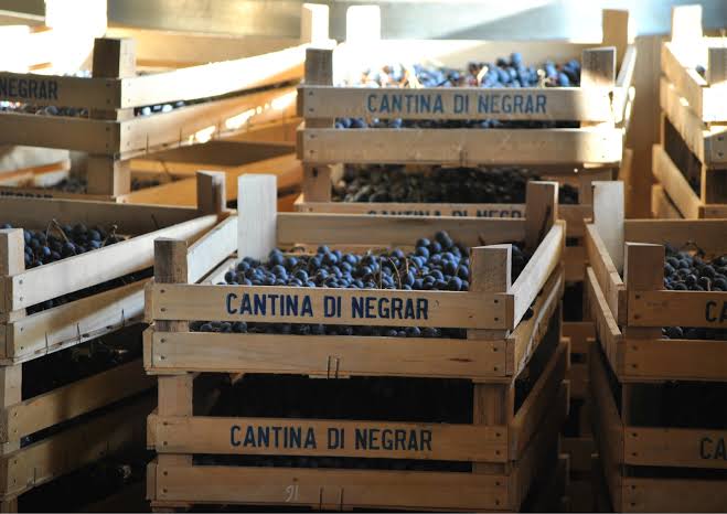 Cantina Di Negrar