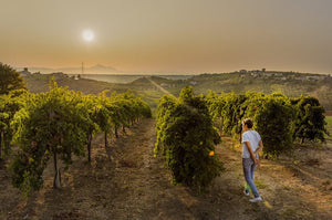 Tenuta i Fauri.jpg__PID:26ff0107-1702-4655-920e-b6e63886c451