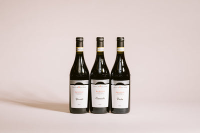 Best of Barolo Tre Amici Wines 